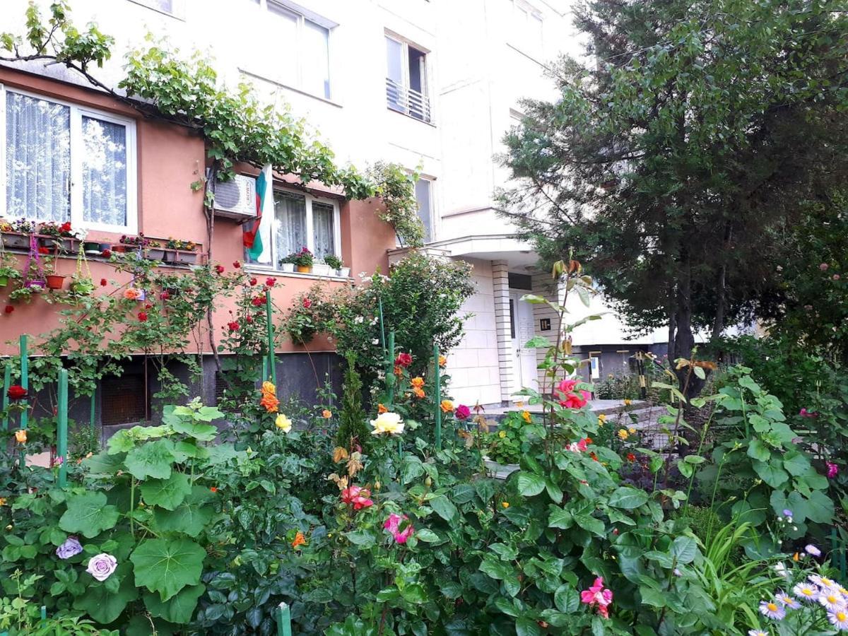 New York - Guest Near The Airport, Transport Possibility Alloggio in famiglia